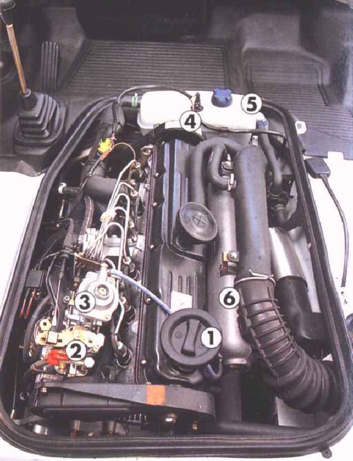 lt engine bay.jpg