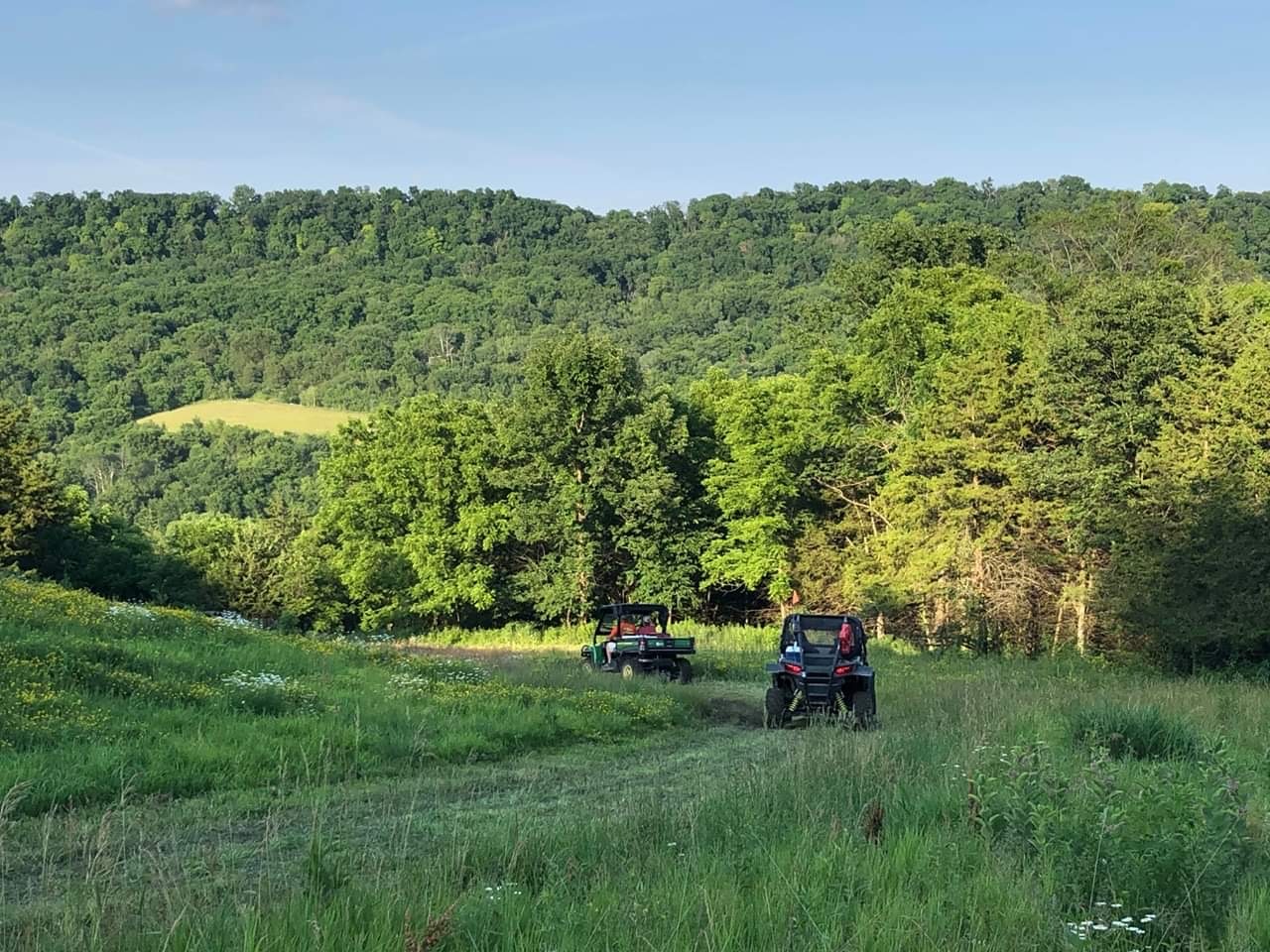 trail ride hillside.JPG