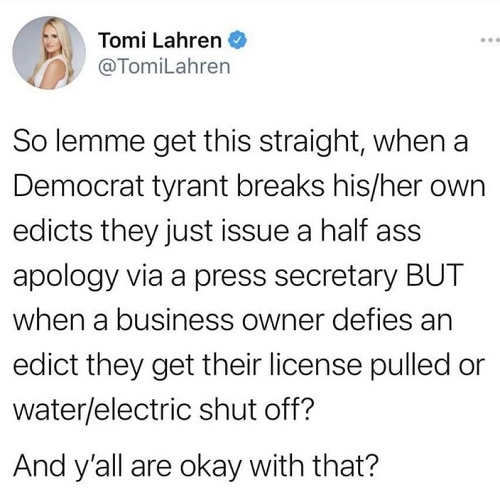 tweet-tomi-lahren-democrat-breaks-own-edicts-apology-business-owner-pull-license.jpg