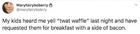 tweet-mary-fairy-twat-waffle.jpg