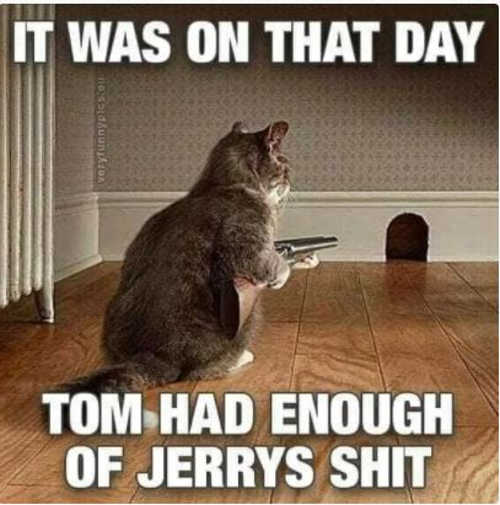 cat-gun-on-that-day-tom-had-enough-jerrys-shit.jpg