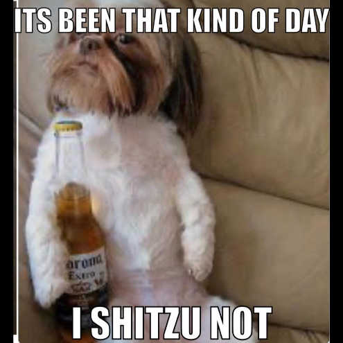 message-its-been-that-kind-of-day-i-shitzu-not-corona-extra-beer.jpg