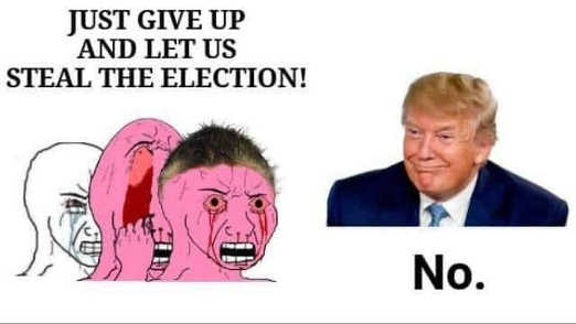 crying-liberals-just-give-up-stolen-election-trump-no.jpg