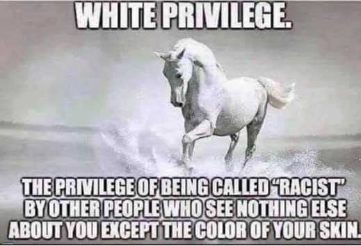 white-privilege-being-called-racist-by-people-who-see-nothing-except-color-of-your-skin.jpg