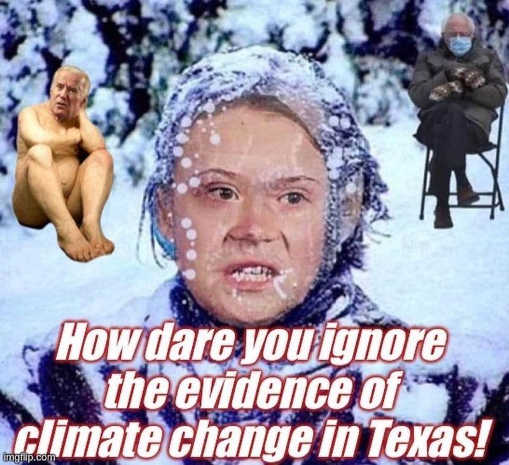 greta-thunberg-how-dare-you-ignore-evidence-climate-change-in-texas.jpg