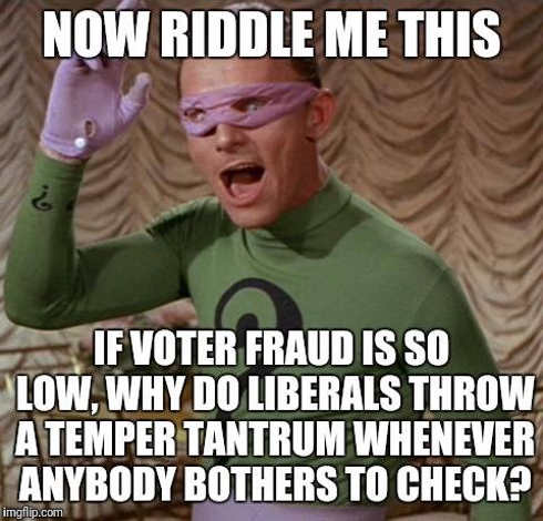 riddle-me-this-if-voter-fraud-so-low-why-do-liberals-throw-temper-tantrum-when-check.jpg