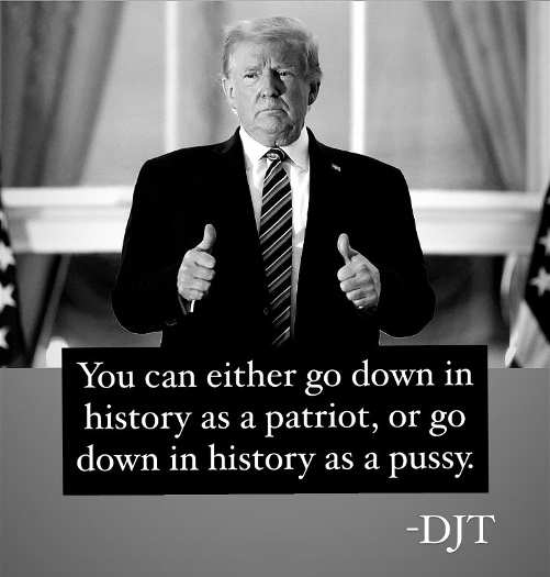 quote-donald-trump-either-go-down-in-history-as-patriot-or-pussy.jpg