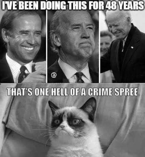 joe-biden-been-doing-this-48-years-grumpy-cat-one-hell-of-crime-spree.jpg