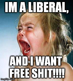 Liberals-Crying-Meme-Funny-Image-Photo-Joke-10.jpg