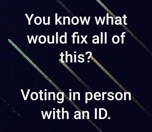 you-know-what-would-fix-all-of-this-voting-in-person-with-id.jpg