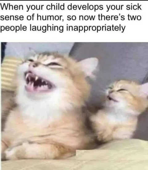 cats-when-child-develop-sick-sense-of-humor-two-people-laughing-inappropriately.jpg