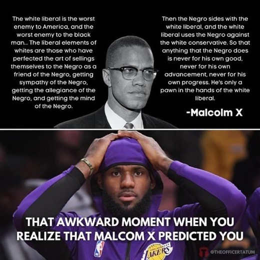 quote-malcolm-x-white-liberal-taking-advantage-lebron-james-types.jpg