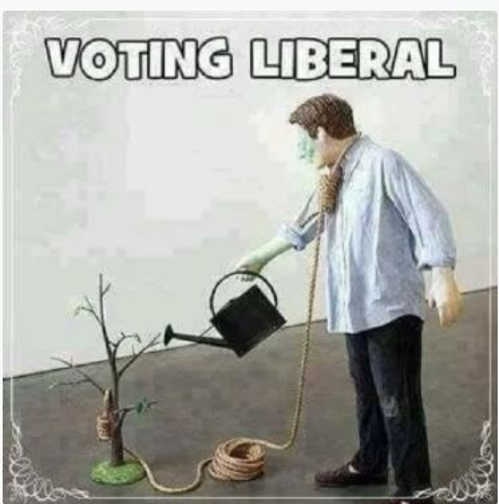 voting-liberal-planting-tree-to-hang-noose.jpg