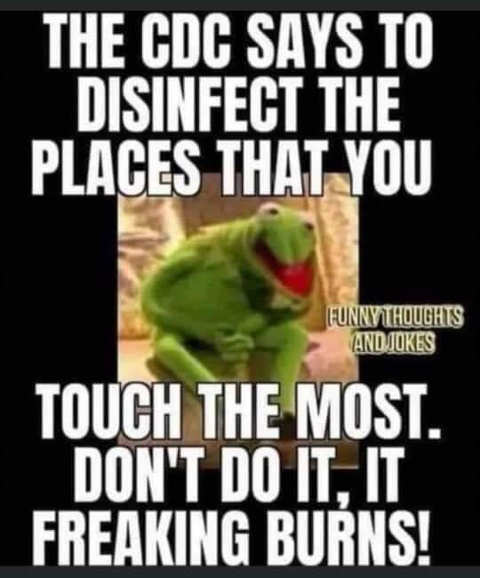 kermit-cdc-disinfect-places-touch-most-dont-do-it-it-burns.jpg