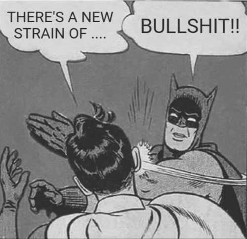 batman-slap-new-covid-strain-bullshit.jpg