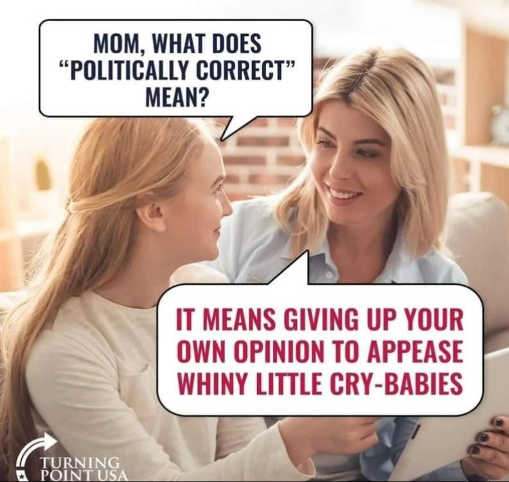 mom-politically-correct-definition-giving-up-opinions-to-appease-whiny-crybabies.jpg